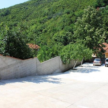Apartment Bijelavista Herceg Novi Extérieur photo